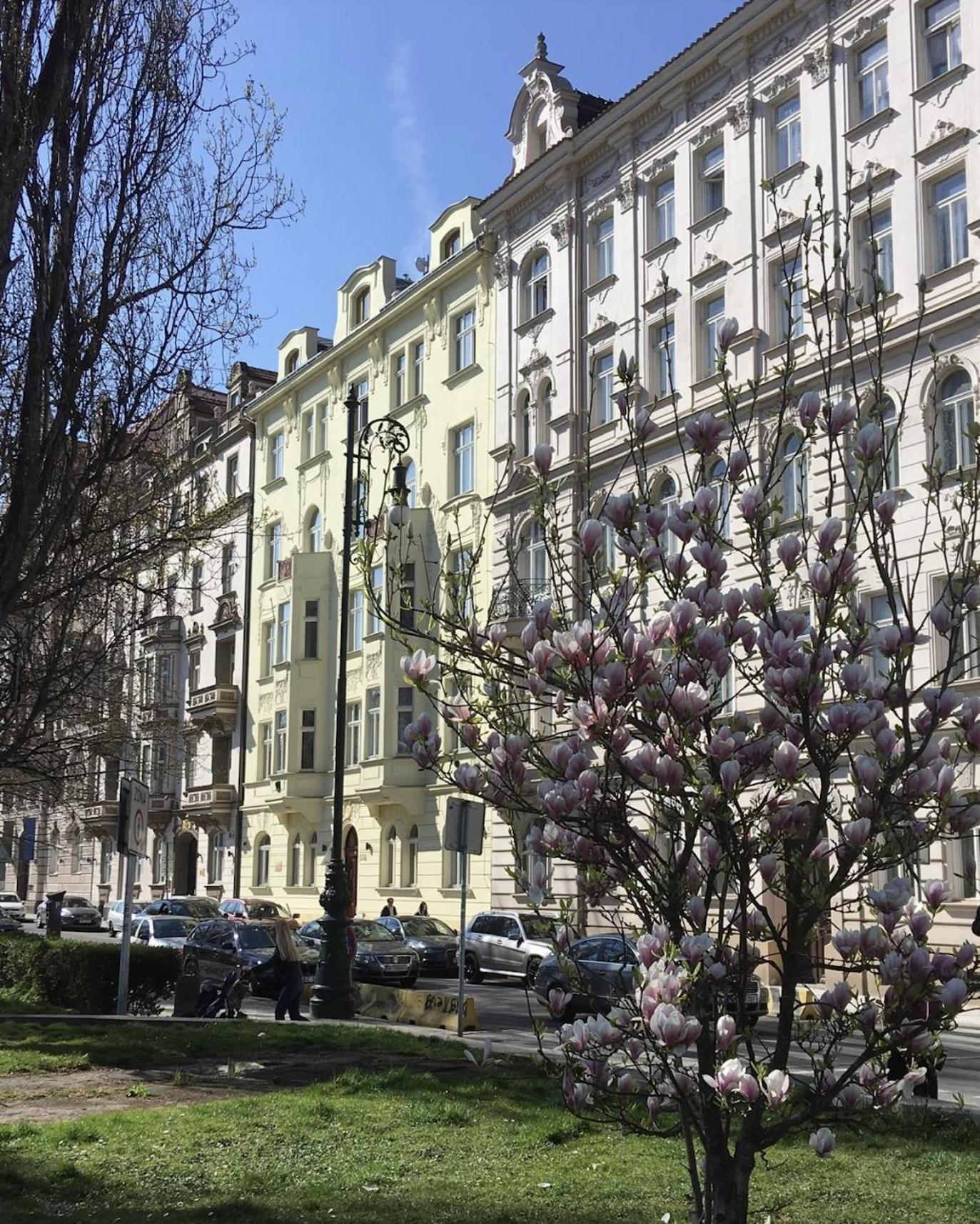 Апартаменты River Site Janackovo Nabrezi 27 *
